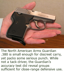 guardian pistol