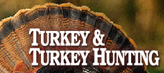 Turkey hunting tips How to Hunt Turkeys