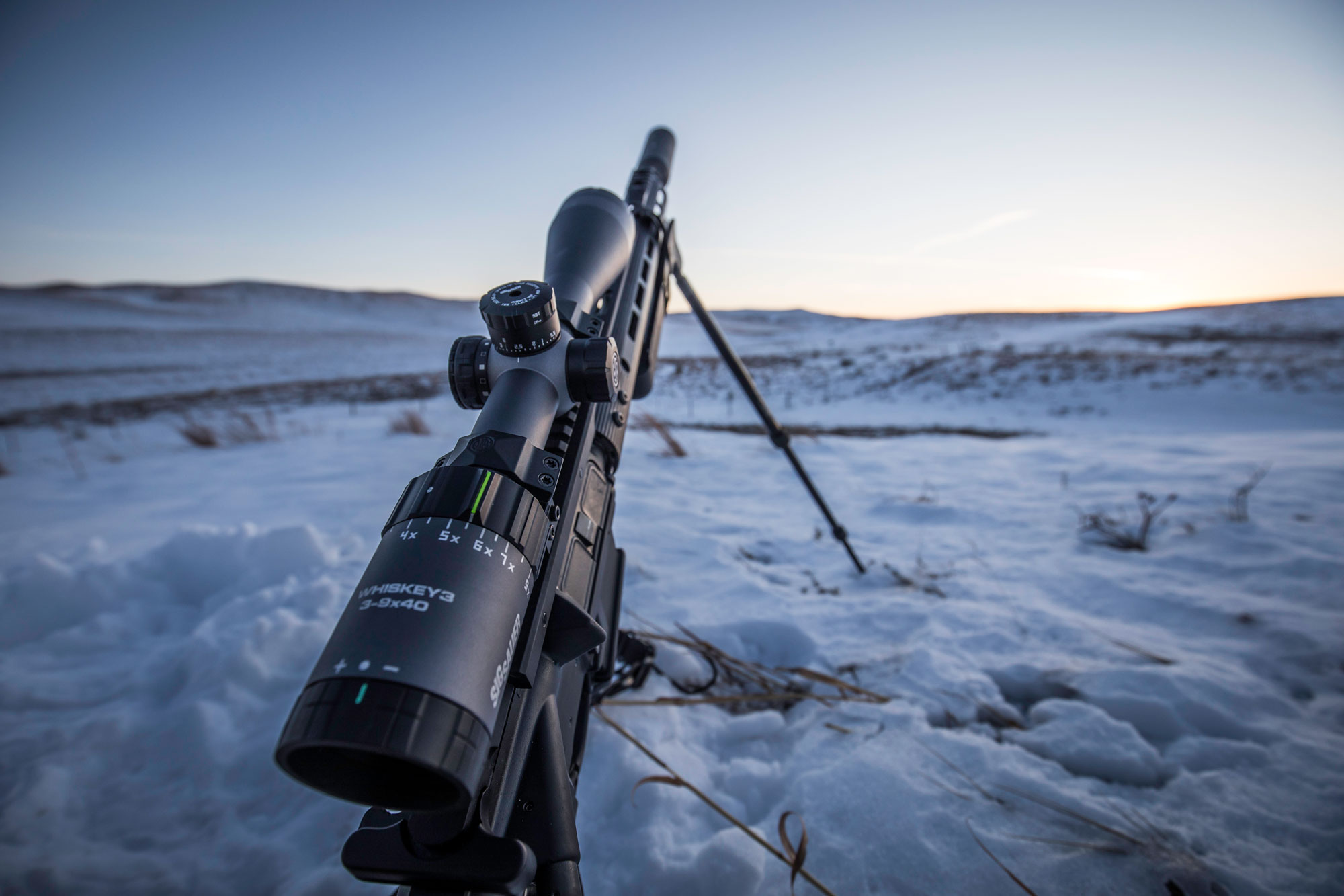 Ultimate Predator Rifle - SIG scope