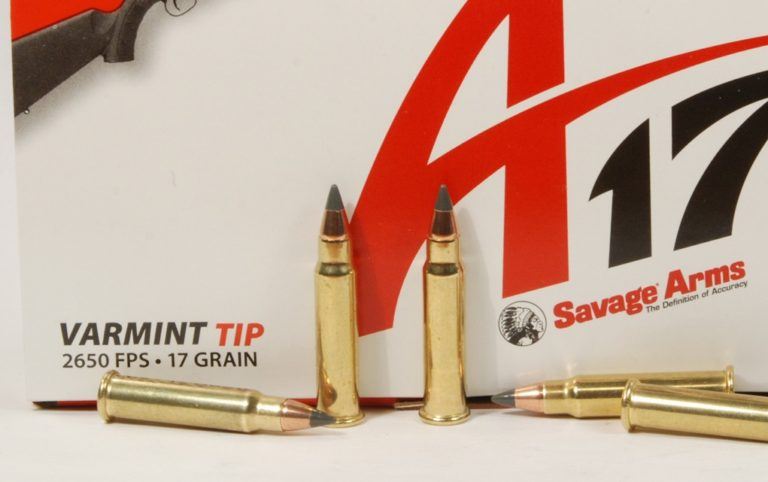 Ammo: Evolution of the Red-Hot .17 HMR