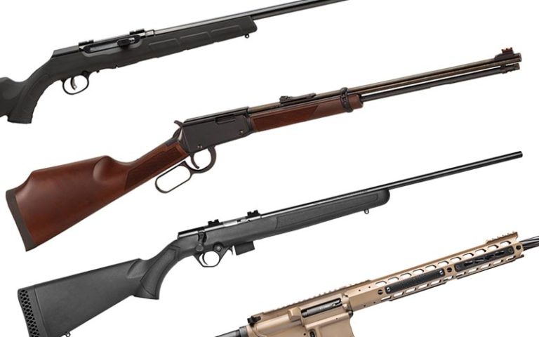 5 Best .17 HMR Rifle Options (2024)