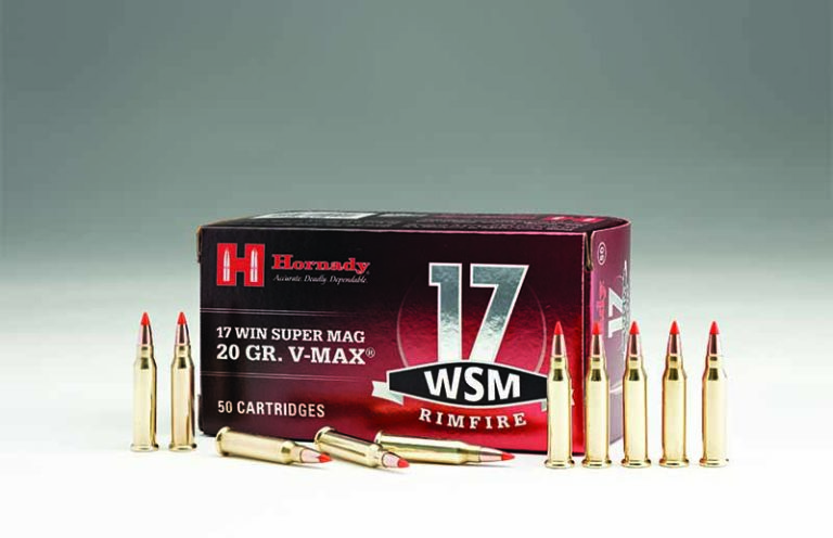 Ammo Brief: .17 Winchester Super Magnum Nails It