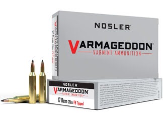 Ammo Brief: .17 Remington Fireball 17 remington fireball