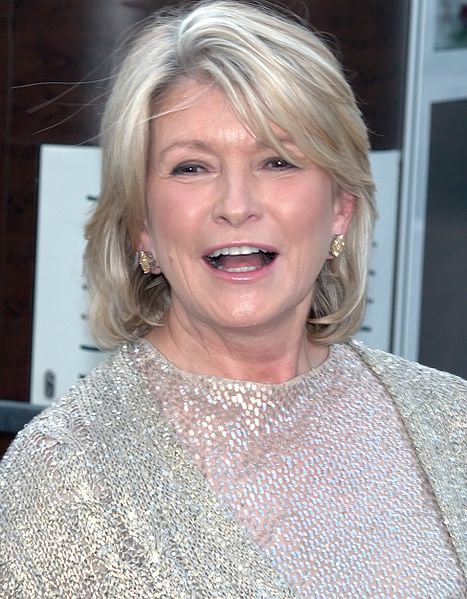 Should Martha Stewart be prohibited from owning guns? Why?