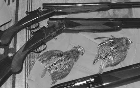 The three new S&W shotguns used to shoot clay birds as well as hunt with during the quail/pheasant hunts. From top: Elite Gold, Elite Silver, and Model 1012 semiauto.