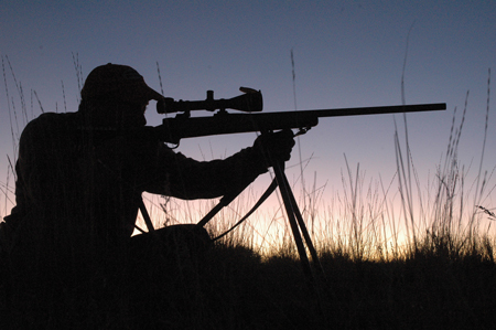 Bright glass (here in a Leupold) can salvage a hunt when your only shot comes in dim light!