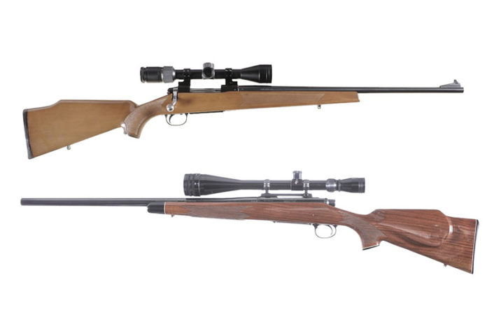 Best .22-250 Rifle Buyer’s Guide (2023) - rkguns