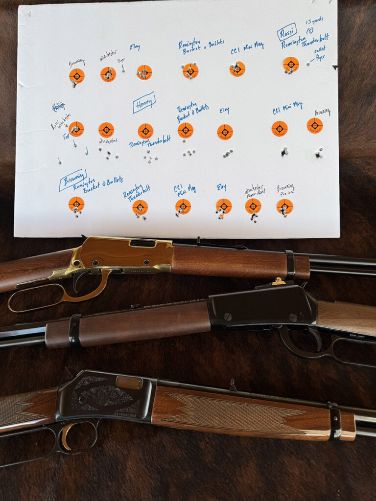 22 LR Lever-Action Rifles target