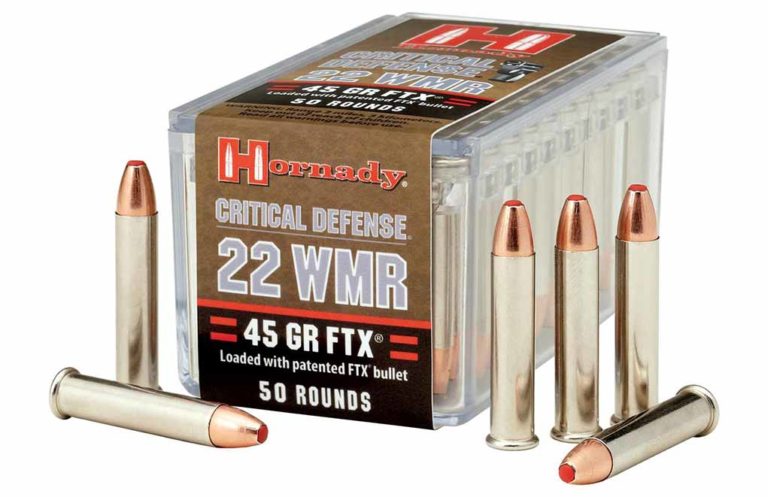Top .22 Magnum Ammo Options For All Applications (2023)