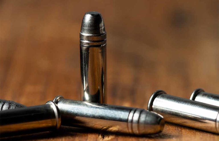 .22 LR Punch: Does The Defense Rimfire Ammo Stack Up?