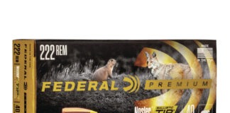Ammo Brief: .222 Remington 222 remington