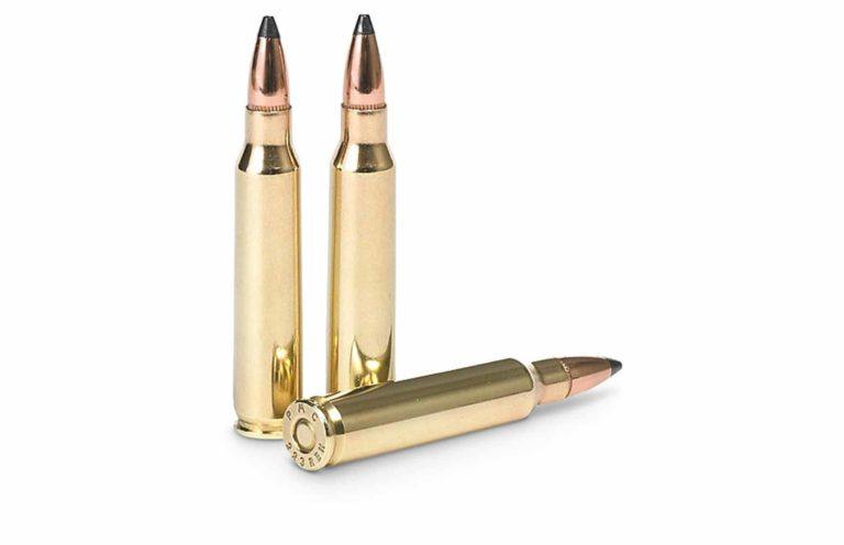 Ammo Brief: The Rise Of The .223 Remington