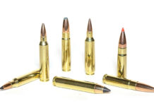 The .223 Family Tree 223 family tree feature