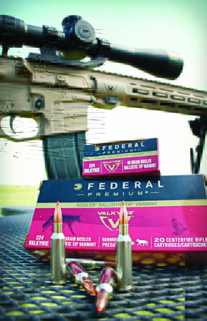 Federal’s new .224 Valkyrie in 60-grain Nosler is the perfect round for predator and varmint hunters.