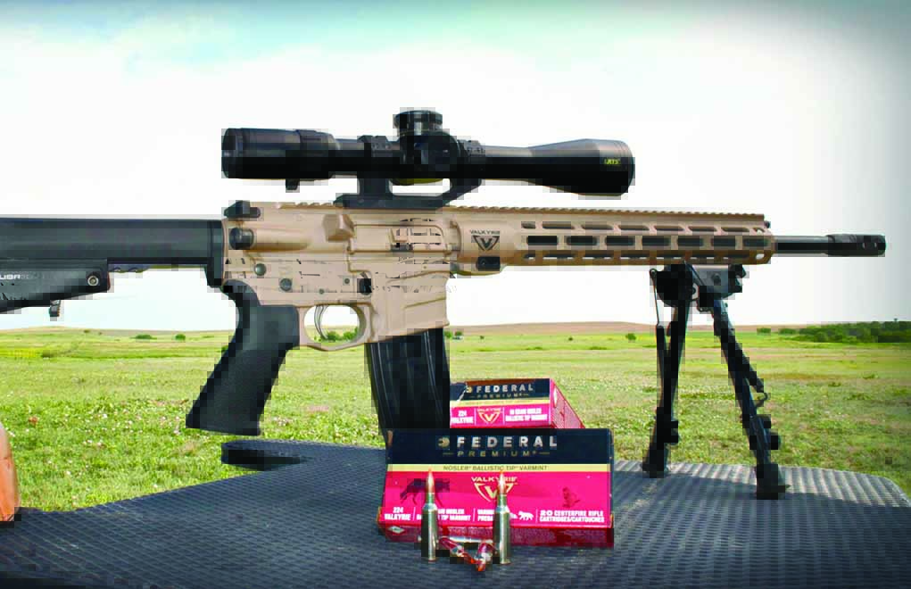 Savage Arms has an affordable option for people looking for a great .224 Valkyrie straight off the shelves: the MSR 15 Valkyrie.