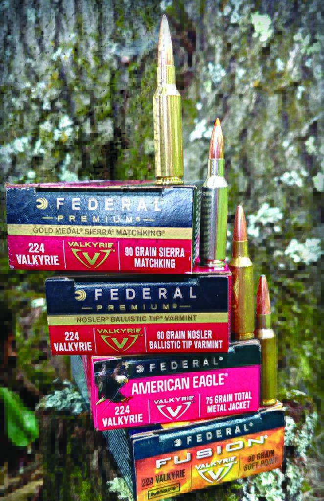 Federal Ammunition has four offerings in .224 Valkyrie. From top to bottom: 90-grain Sierra MatchKing, 60-grain Nosler Ballistic Tip, AE 75-grain TMJ, and 90-grain Fusion.