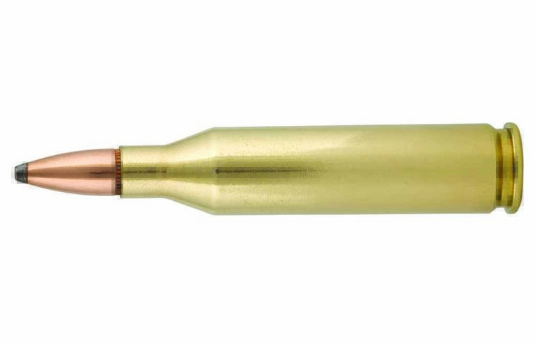 Ammo Brief: The Versatile .243 Winchester