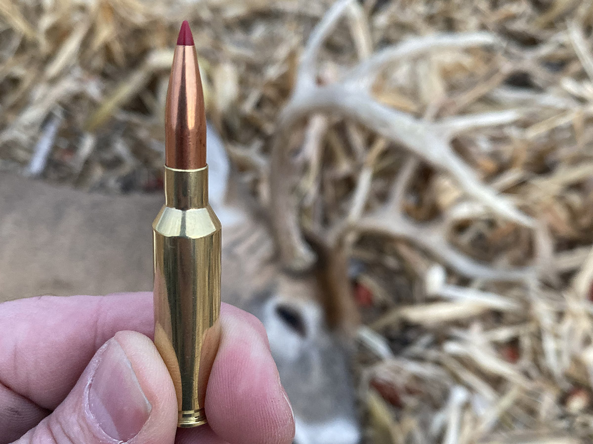 .25 Creedmoor: A Huge Niche