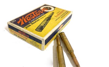 Ammo Brief: .256 Newton 256 newton