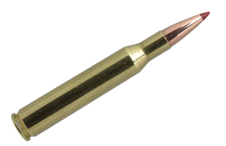 .270 Winchester Ammo: A Buyer’s Guide