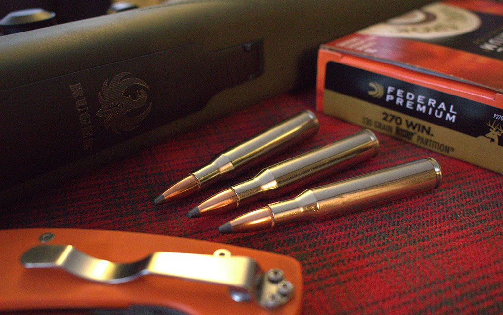 270 Winchester ruger
