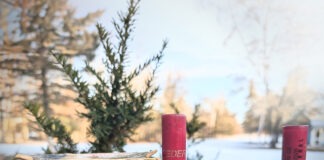 The 3.5-Inch Shotgun Shell Needs To Die 3-5 inch shells feature