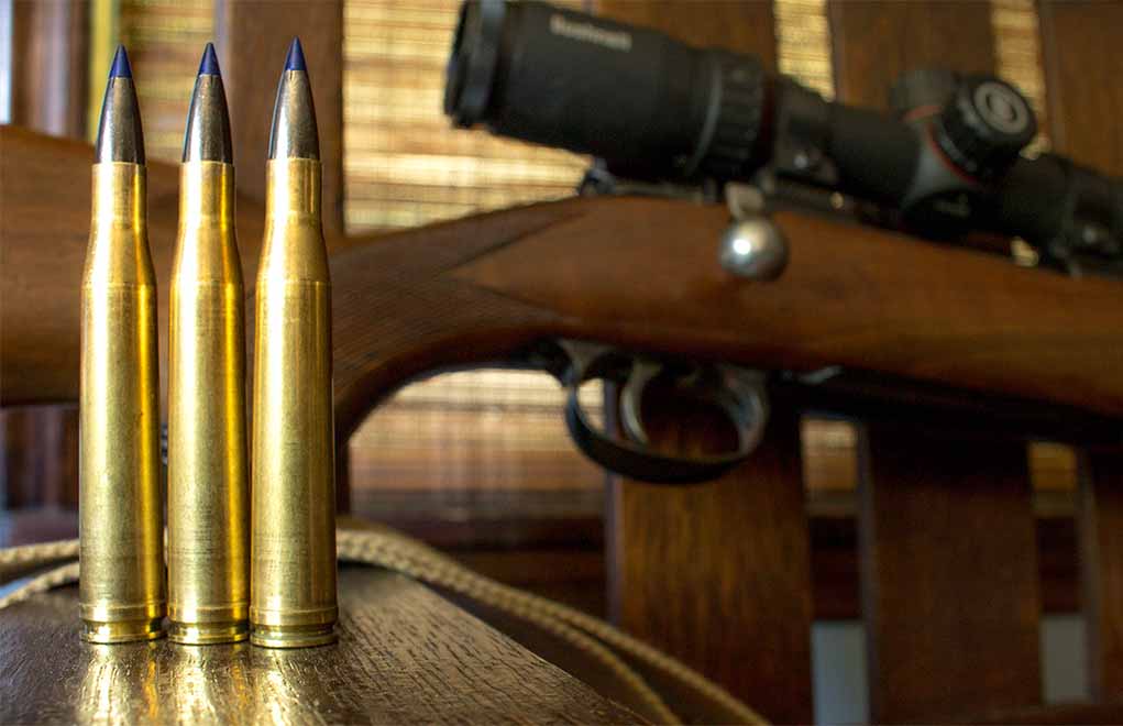 300 H&H Magnum Cartridge in front of Gun