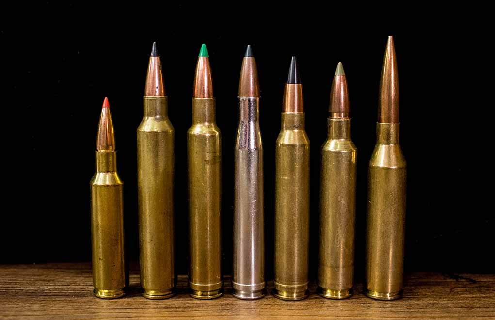 The Large And Powerful 300 Magnum Family Gun Digest