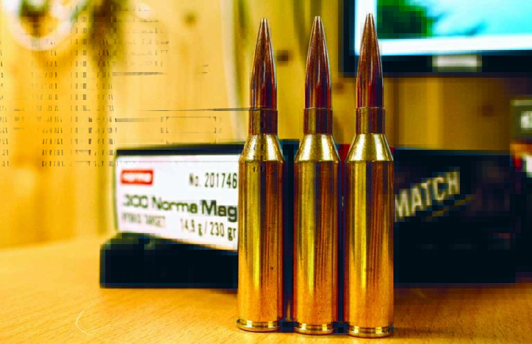 .300 Norma Magnum: Made To Go The Distance … Then Some
