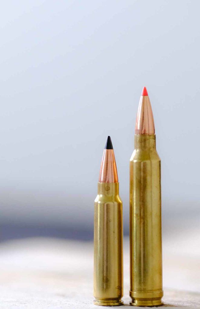 300 Savage Vs 300 Winchester Magnum Are There Any Parallels