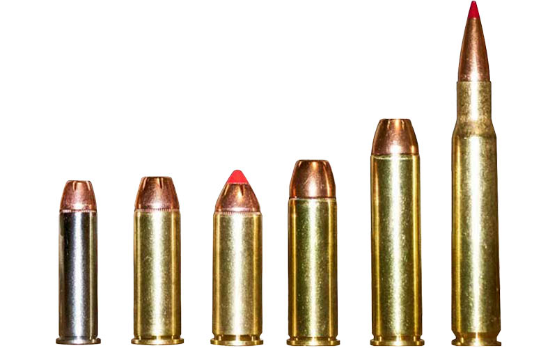 357-Mag-44-Mag-45-Colt-454-Casull-460-SW-ammo-spread