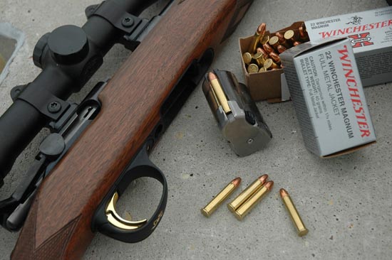 Wayne van Zwoll: What You Didn’t Know About the .22