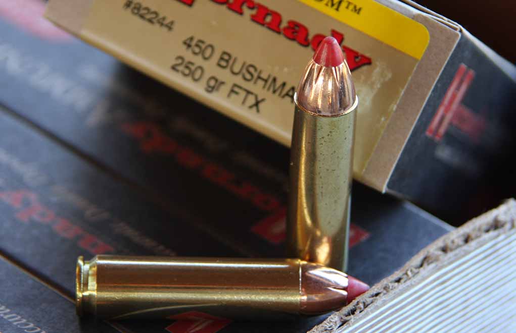 The .450, as designed, was intended from the start to have the Hornady FTX bullet as the projectile. And there is nothing at all wrong with that. This is a deer-hammering combination of bullet, cartridge and rifle.