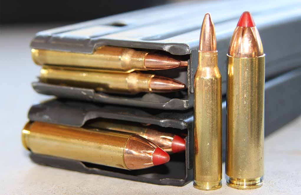 You do not get the magazine capacity that a .223 will provide, but then you don’t want that. The DNR will get very fussy if you have a magazine of more than five rounds, so leave the big mags home when you go hunting with a .450 Bushmaster.