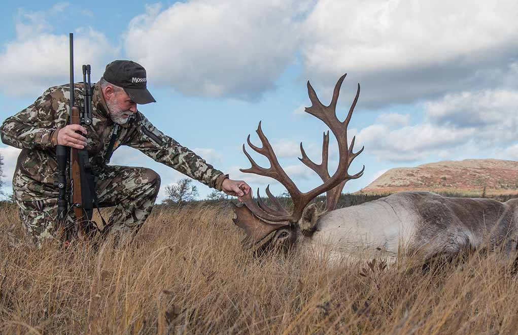 A 140-grain Nosler AccuBond from a 6.5 Creedmoor took this nice woodland caribou stag in Newfoundland. Where shots can be long over unforgiving bogs, the Creedmoor was the perfect choice.