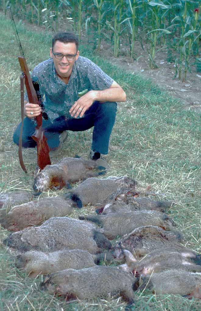 The author with a bunch of Pennsylvania groundhogs taken with his first 6mm Rem.