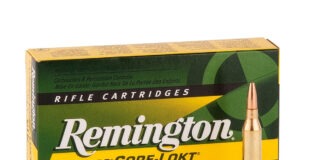 Ammo Brief: 6mm Remington 6mm remington