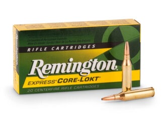 Ammo Brief: 6mm Remington 6mm remington