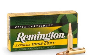 Ammo Brief: 6mm Remington 6mm remington