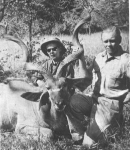 Eleanor O'Connor with a 53-inch greater kudu shot with the 7×57 in Mozambique in 1962. Her professional hunter is Harry Manners.