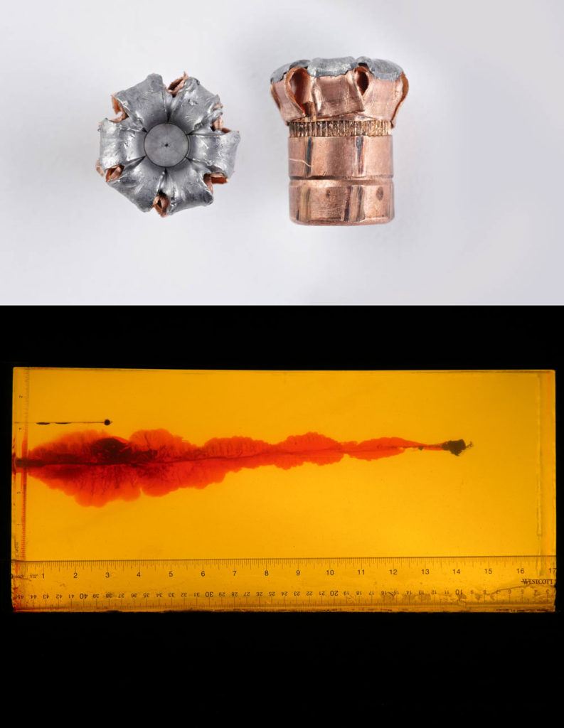Top: This is what a Hornady Critical Duty does, pretty much with any barrier or no barrier. Bottom: Here is the Critical Duty load in gelatin. Nothing to complain about.