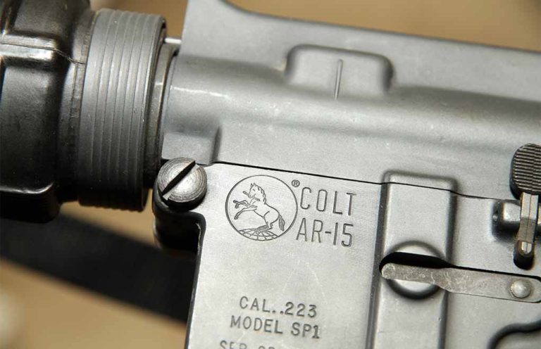 AR-15 Lower: Putting The Internals Together