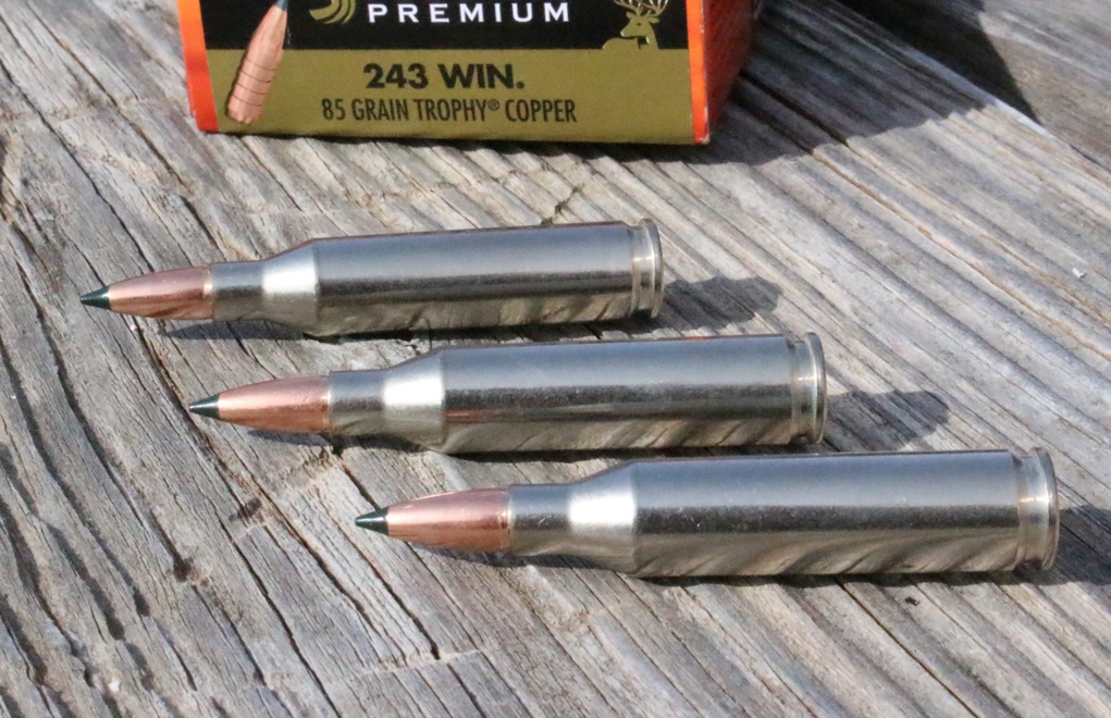 The .243 Winchester can be a great all-around cartridge for the deer/coyote hunter, but it will have trouble handling larger game.