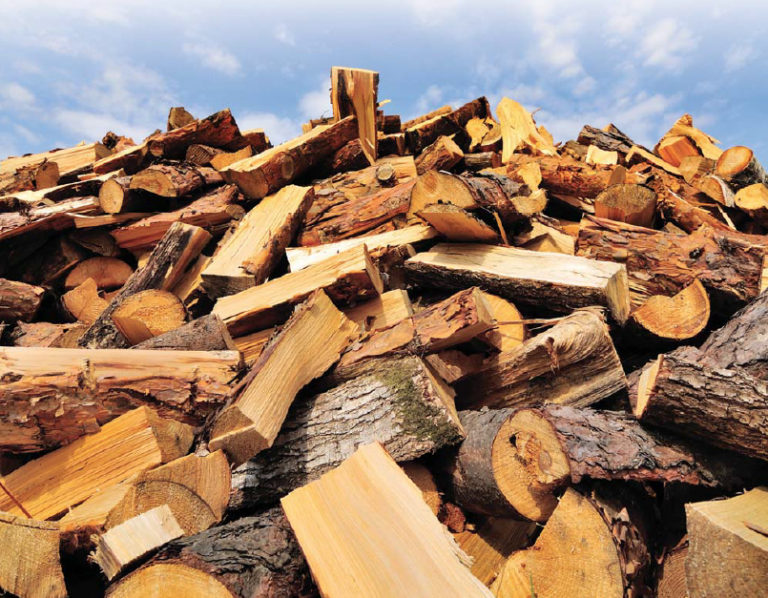 Share This: Guide to the Best Firewood