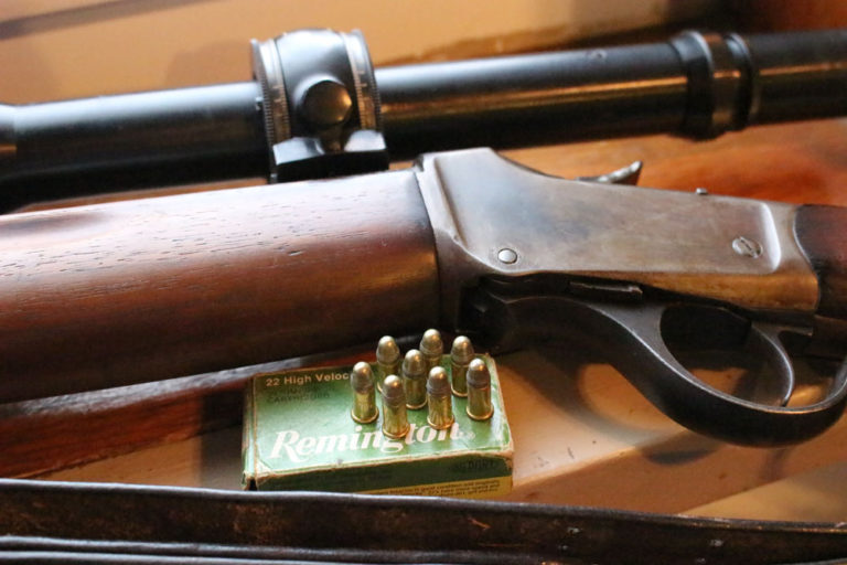The Best Rimfire Cartridges Ever Made Gun Digest