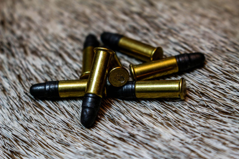 The Best Rimfire Cartridges Ever Made Gun Digest
