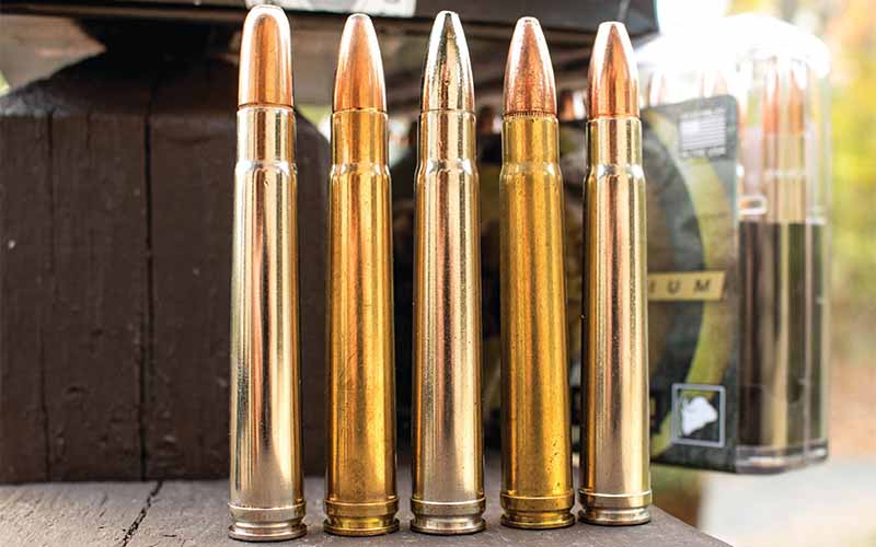 Big-Bore-Rifle-Cartridges