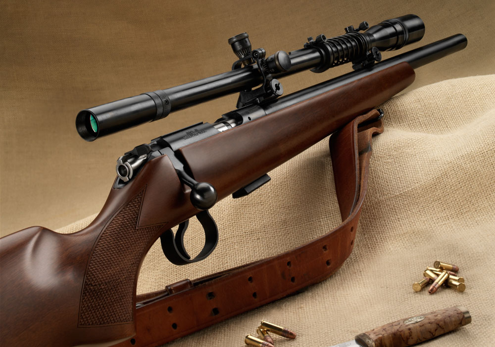 Small Game Precision CZ 455 Varmint Review Gun Digest