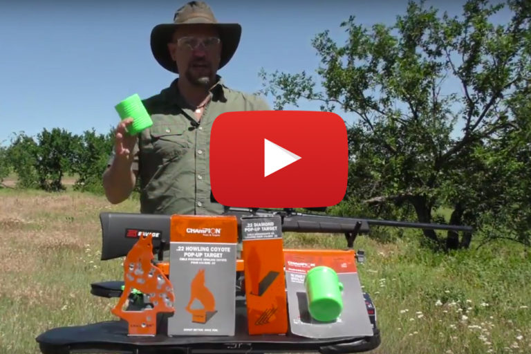 Video: New Champion Target Reactive Targets