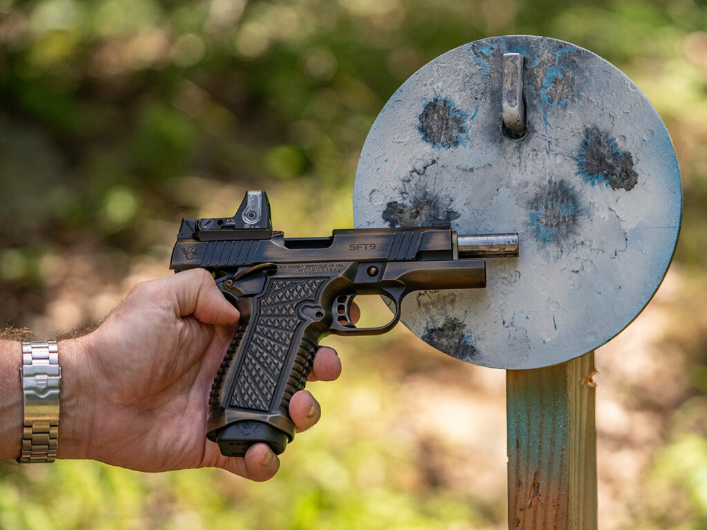 Choosing A Carry Gun target